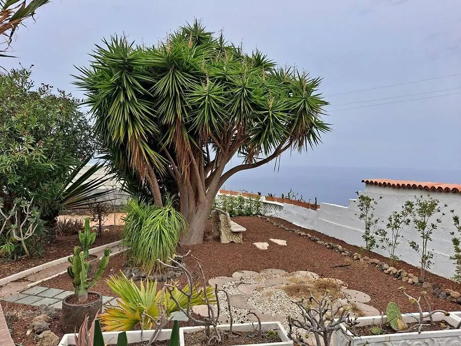 Tenerife Apartment Dulcynea With Terrace And Garden 600M2 With Ocean And Teide View Icod De Los Vinos